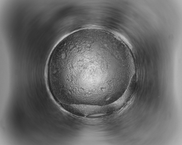 X0000094191007200710261128