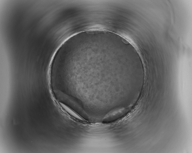 X0000094191008200710261128