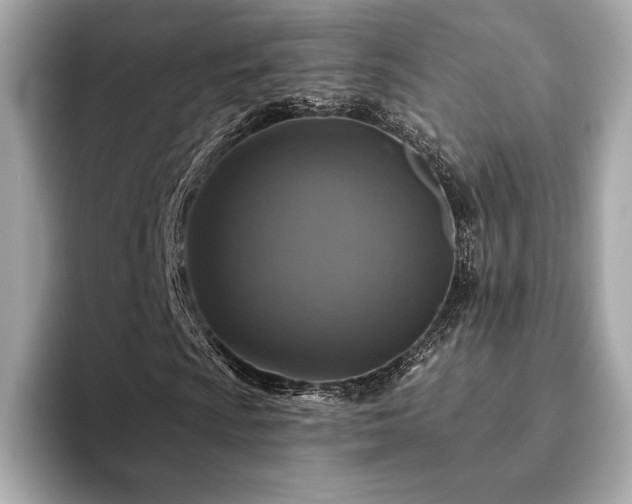 X0000094191009200710261127