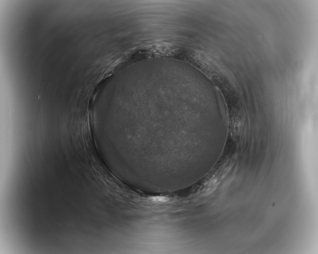 X0000094191010200710261127