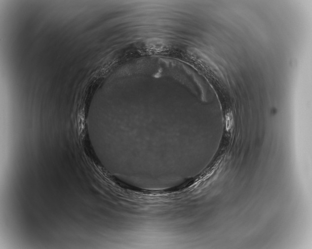 X0000094191011200710261127