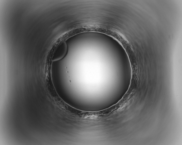 X0000094191016200710261127