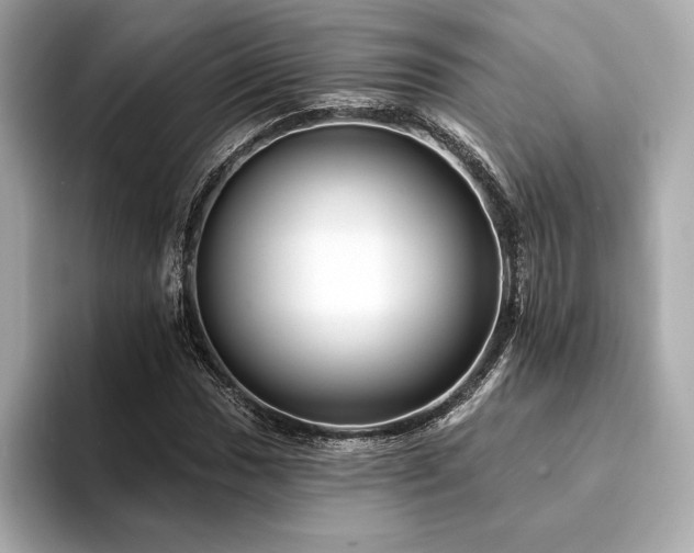 X0000094191017200710261127