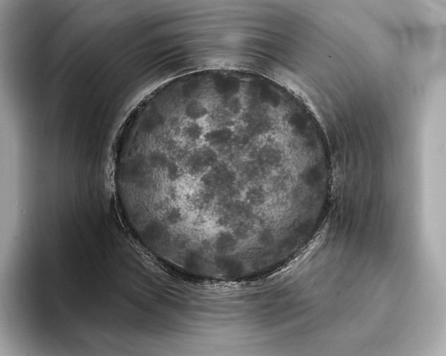 X0000094191019200710261127