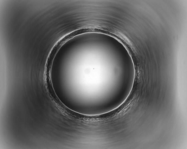 X0000094191020200710261127