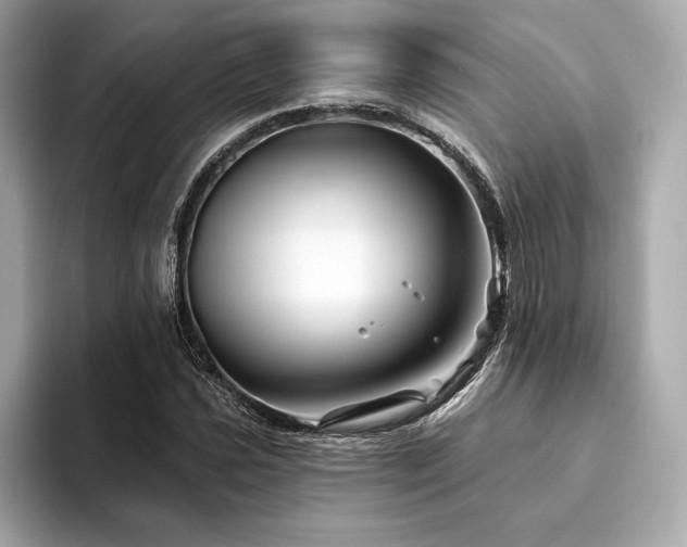 X0000094191021200710261127