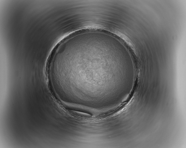 X0000094191022200710261127