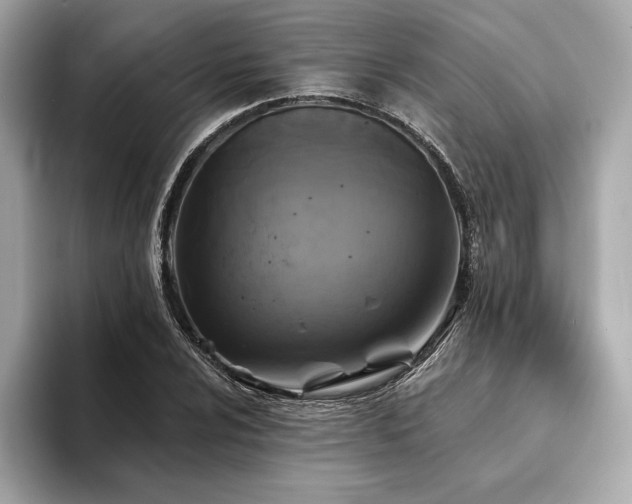 X0000094191024200710261127