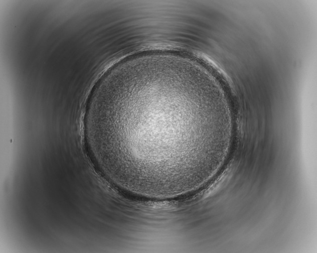 X0000094191025200710261127