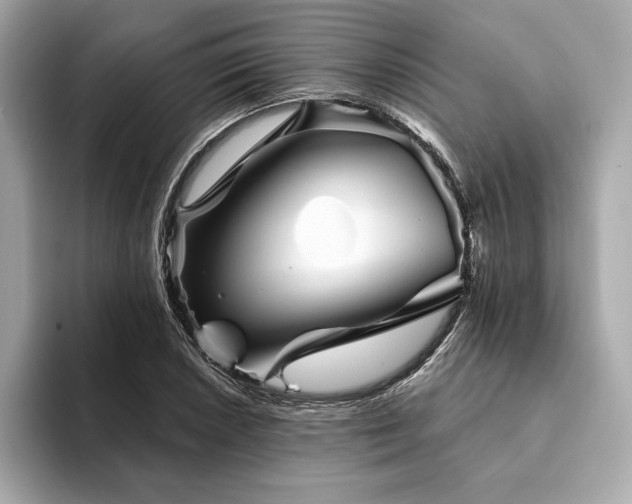 X0000094191026200710261127