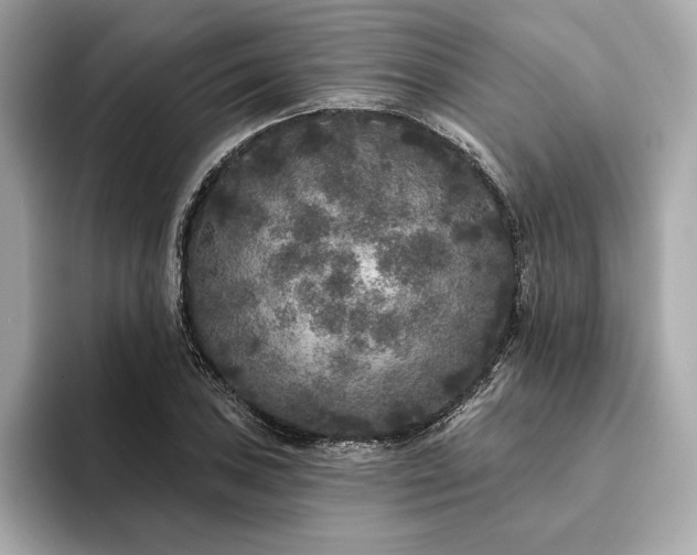X0000094191027200710261127