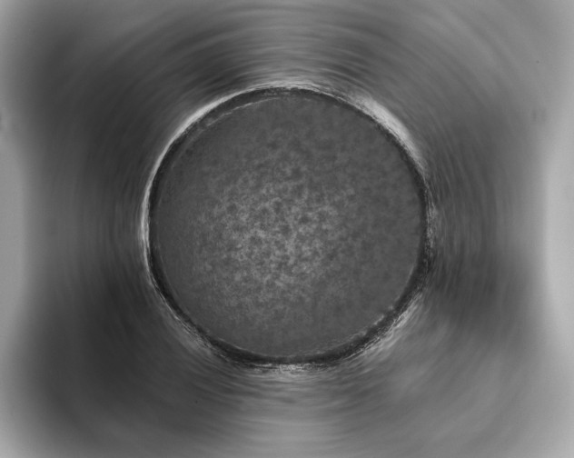 X0000094191028200710261127