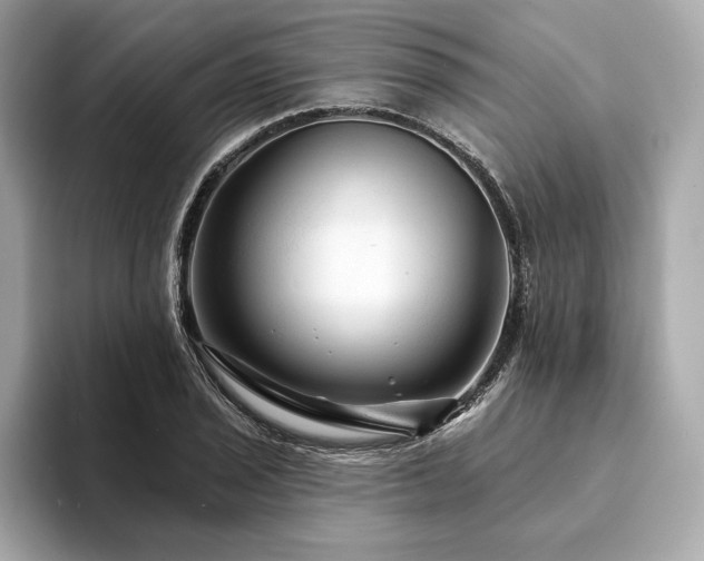 X0000094191029200710261127