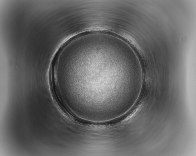 X0000094191030200710261127