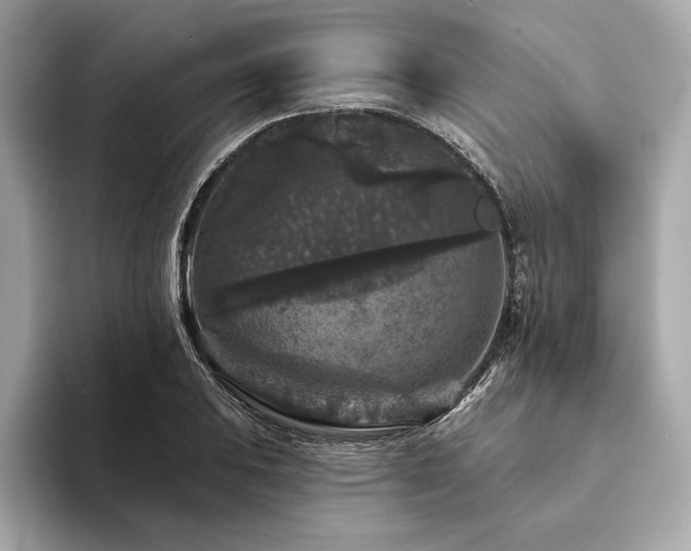 X0000094191031200710261127