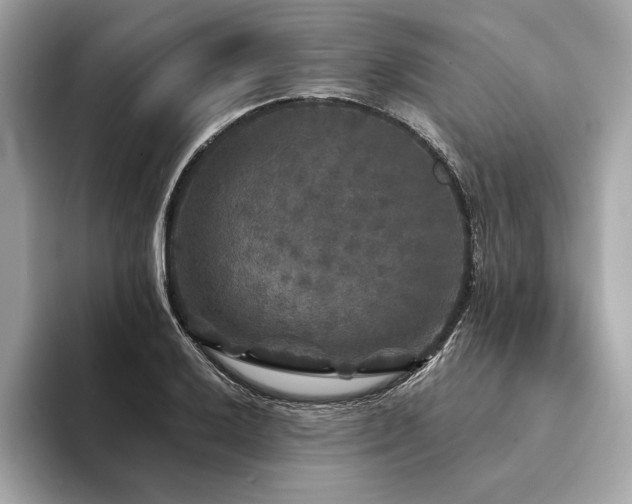 X0000094191032200710261127
