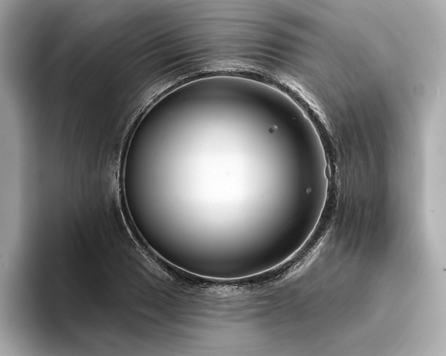 X0000094191033200710261127