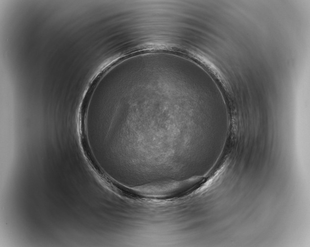 X0000094191034200710261127