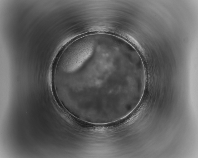 X0000094191035200710261127