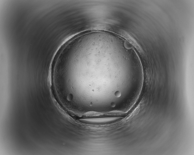 X0000094191036200710261127
