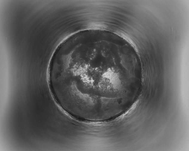 X0000094191037200710261127