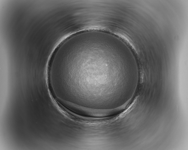X0000094191038200710261127