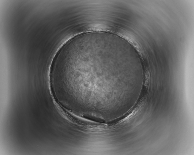 X0000094191039200710261127