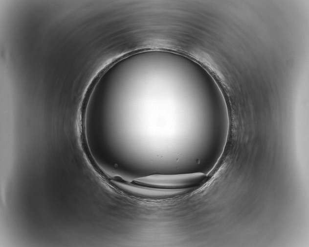 X0000094191040200710261127