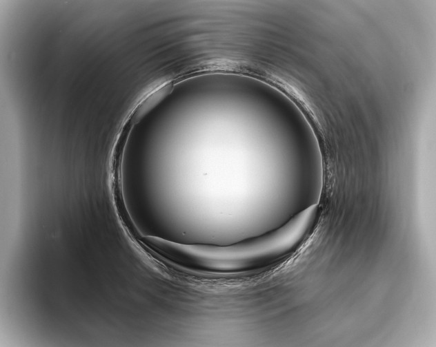X0000094191042200710261127