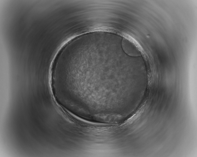 X0000094191043200710261127