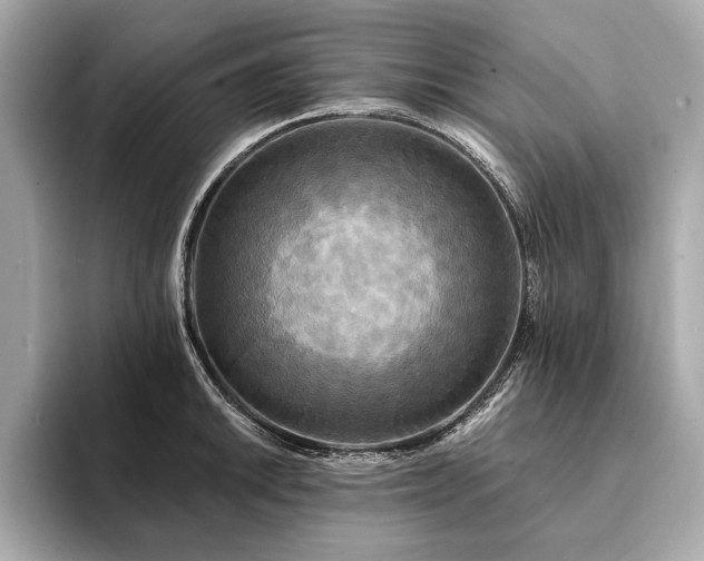 X0000094191046200710261127