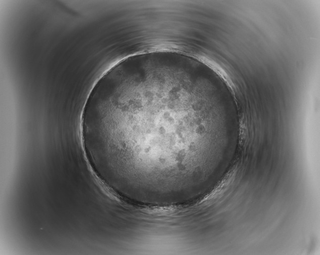 X0000094191047200710261127