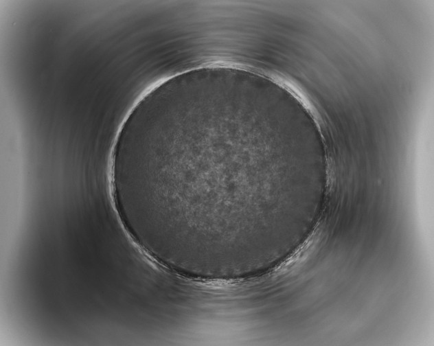 X0000094191048200710261127