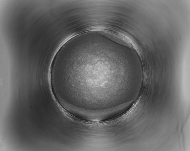 X0000094191050200710261127