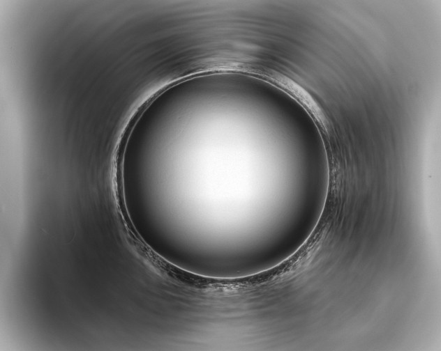 X0000094191051200710261127
