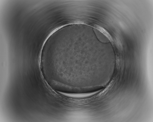 X0000094191052200710261127