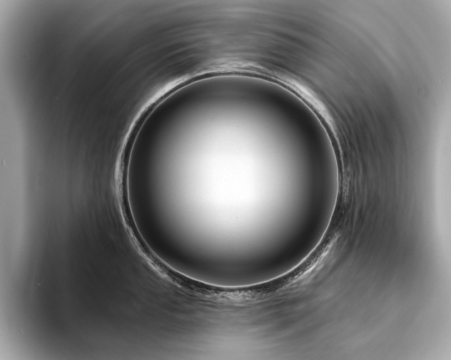 X0000094191053200710261128