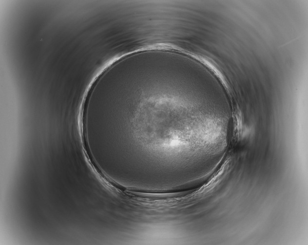 X0000094191054200710261128