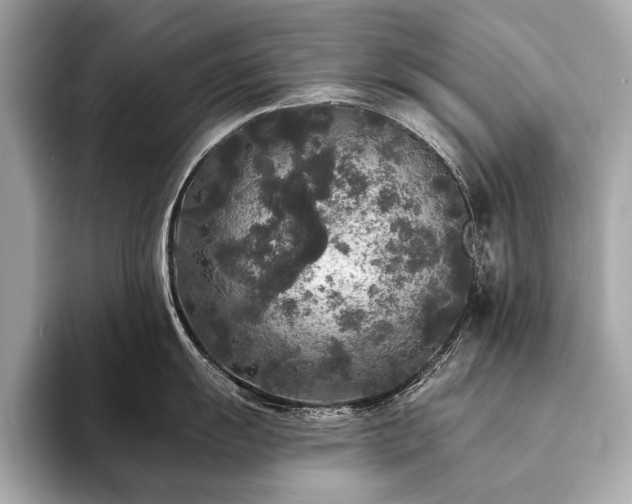 X0000094191055200710261128