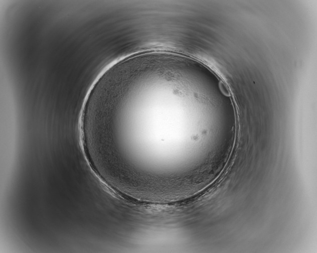 X0000094191056200710261128