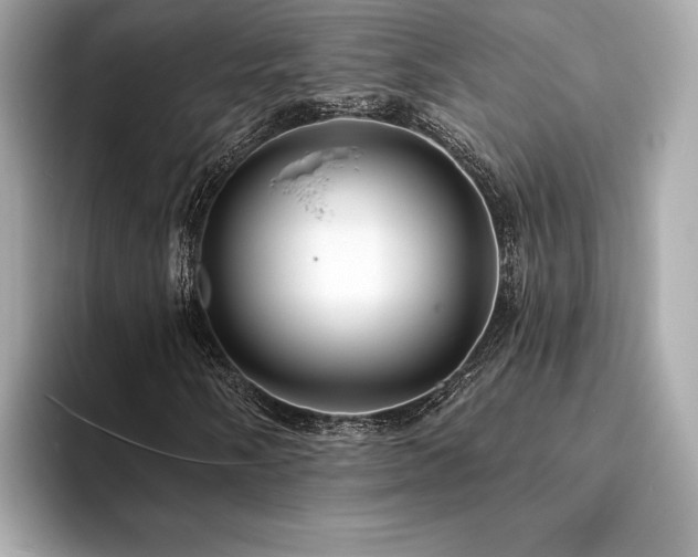 X0000094191058200710261127