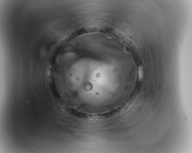 X0000094191059200710261127