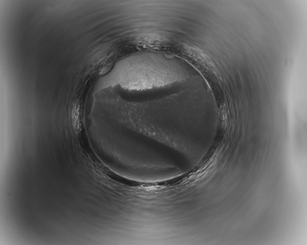 X0000094191060200710261127