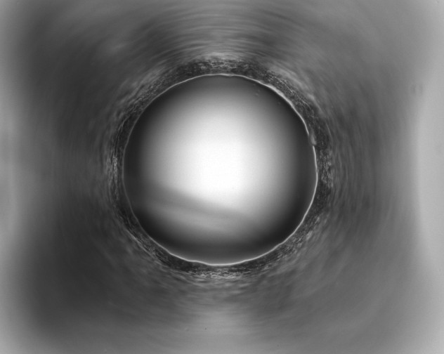 X0000094191061200710261127