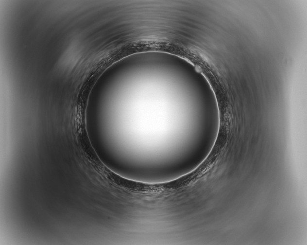 X0000094191062200710261127