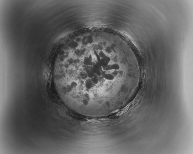 X0000094191063200710261127