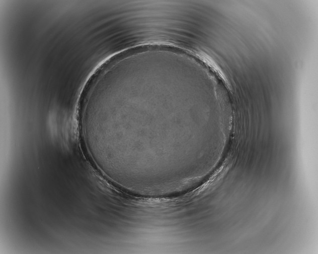 X0000094191068200710261127
