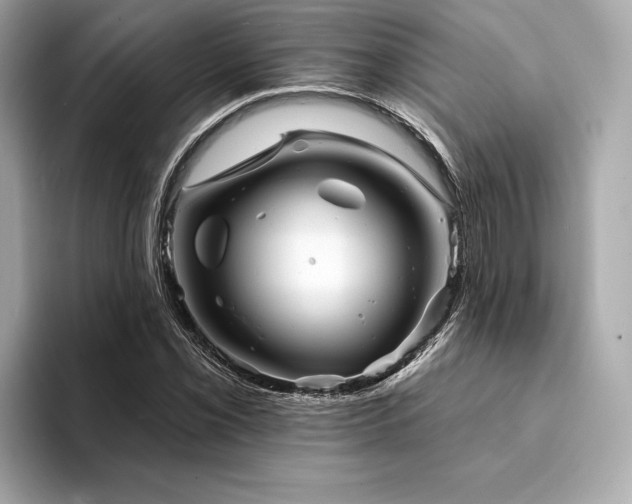 X0000094191069200710261127