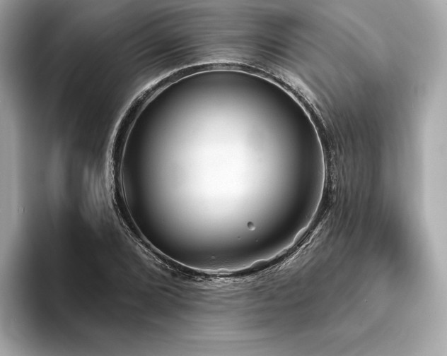 X0000094191072200710261127