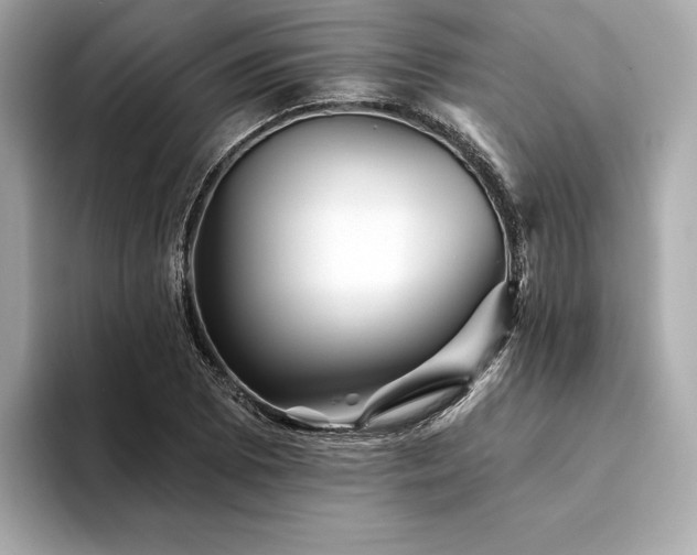 X0000094191073200710261127